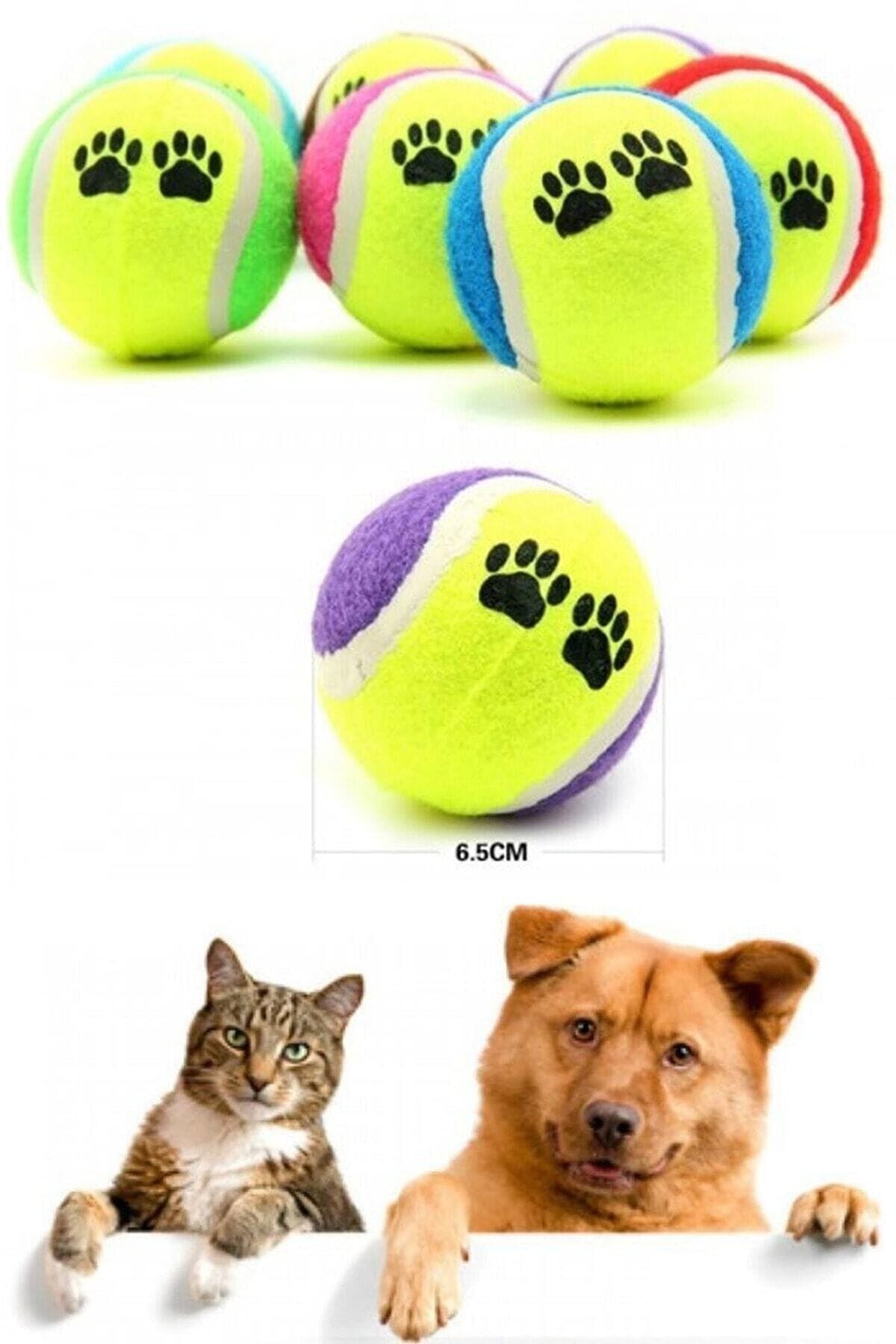 3'Lü Tenis Topu